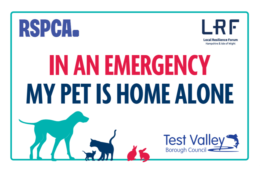 Emergency pet care